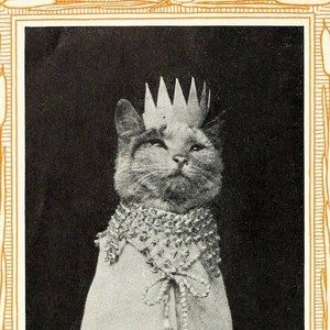 Meet your Posher, Michele